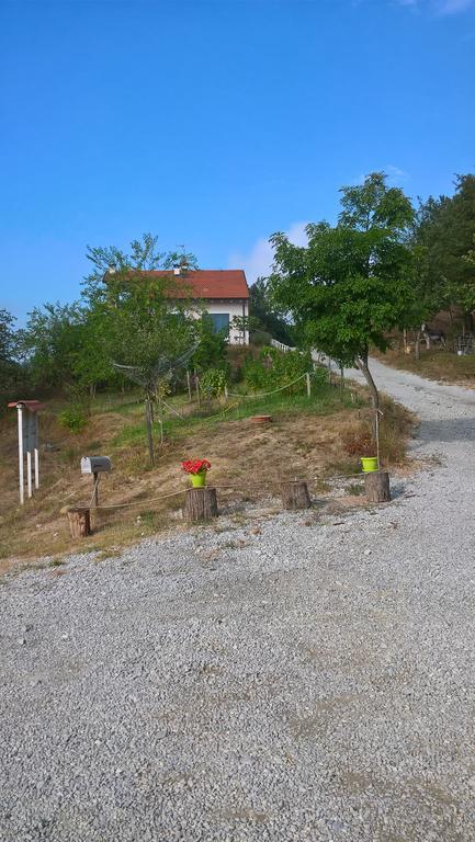 Micro-Cottage In Pietra La Ratatouille Dego Dış mekan fotoğraf