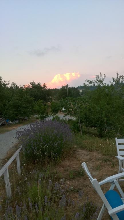 Micro-Cottage In Pietra La Ratatouille Dego Dış mekan fotoğraf